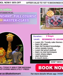 FONDANT 1 MASTERCLASS