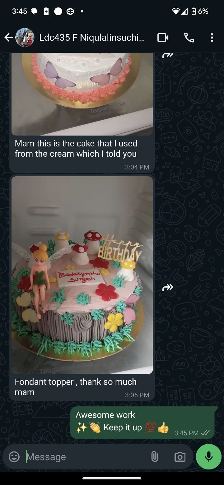 Student 3D fondant cake