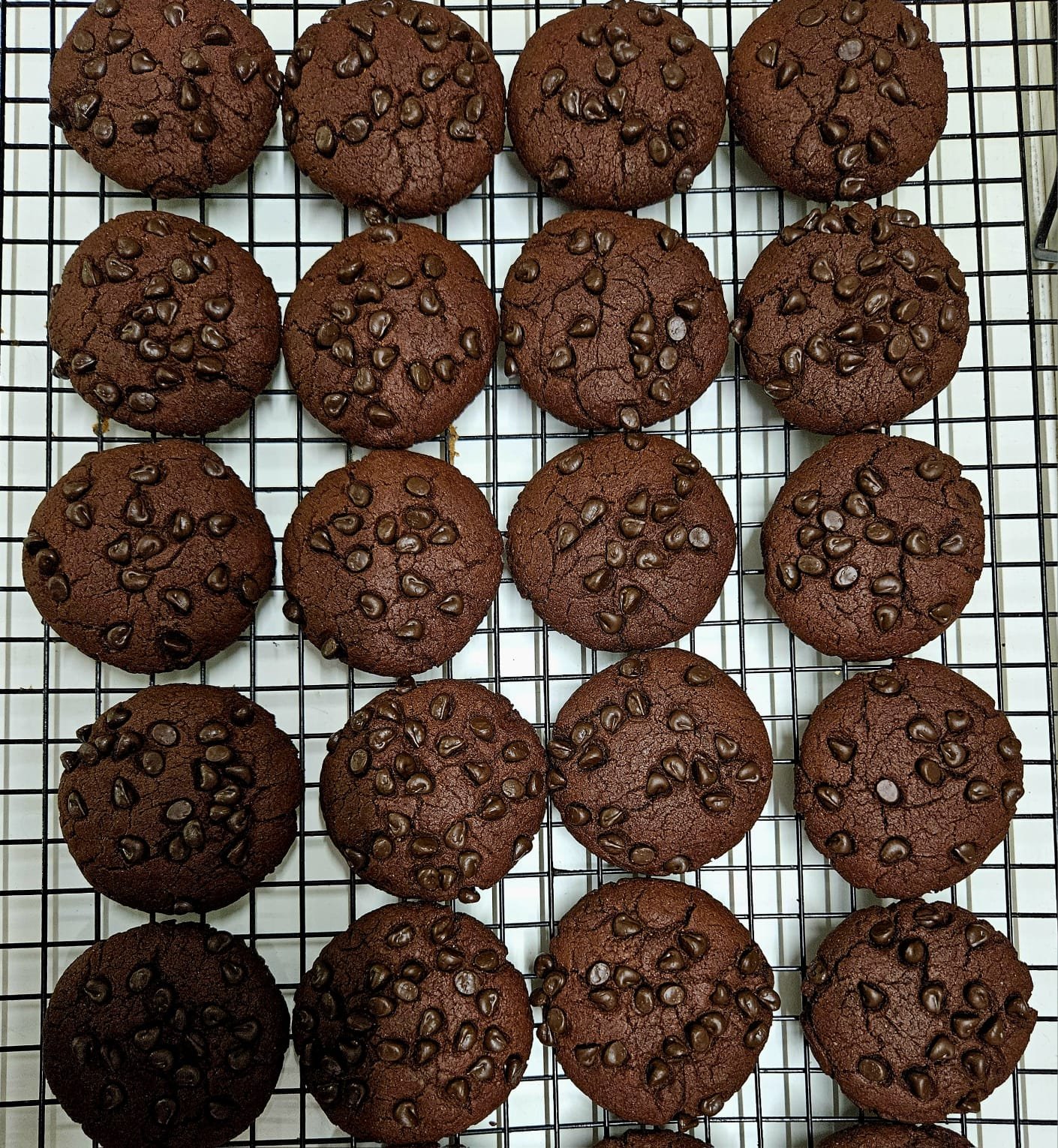 Student chocolate chip cookies