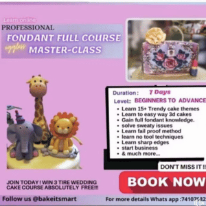 Professional Fondant Focus Masterclass